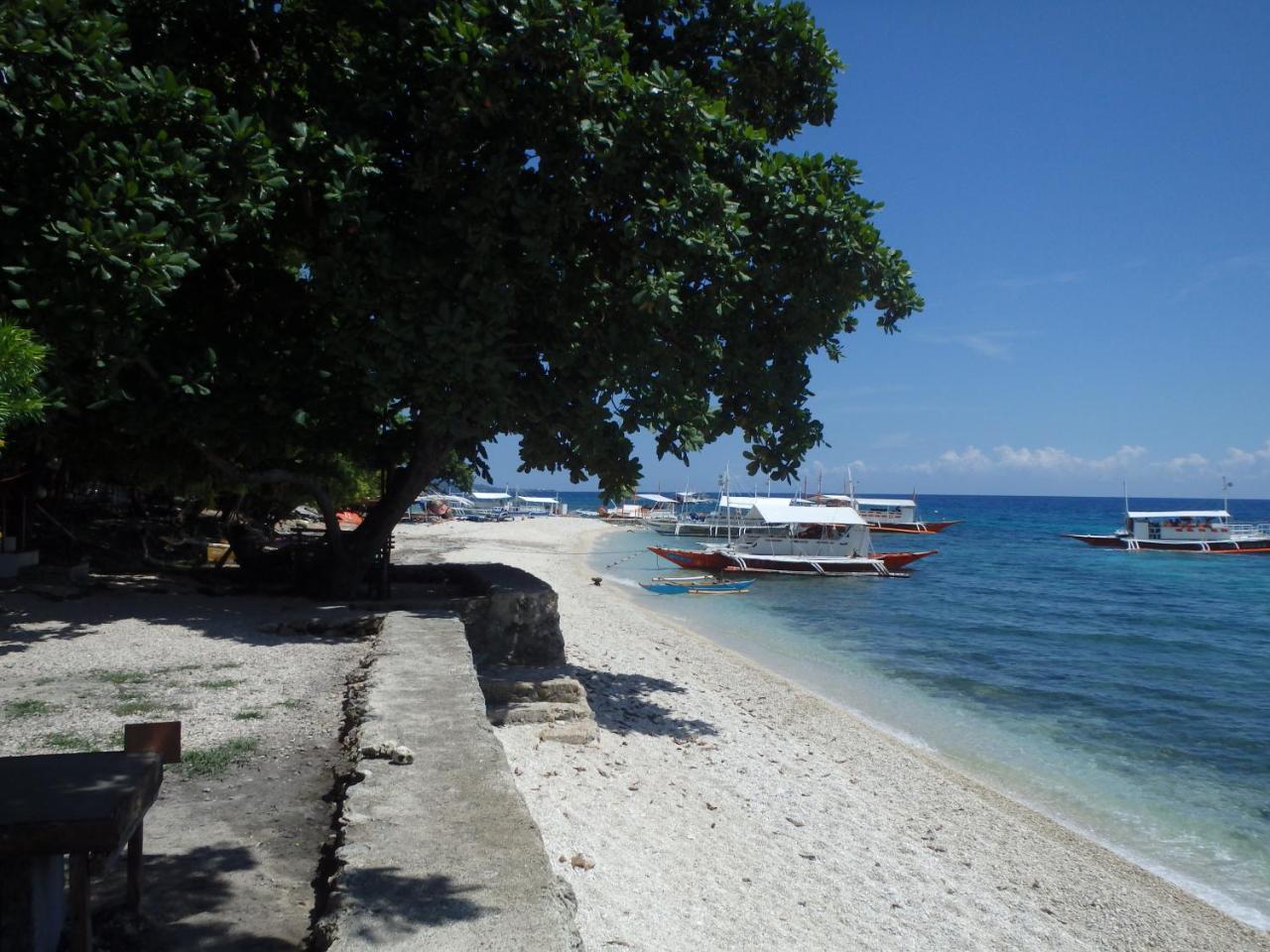 Island Front - Bangcogon Resort And Restaurant Oslob Εξωτερικό φωτογραφία